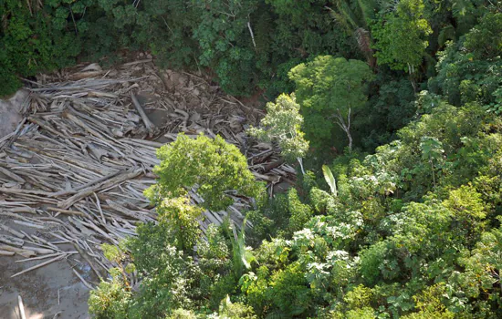 População defende proteção ambiental