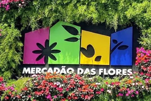 Artesãos da Capital venderão artigos no Mercadão das Flores