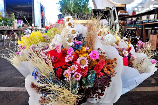 Mercado de Flores da Craisa é opção de preço baixo