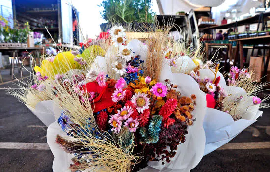 Mercado de Flores da Craisa é opção de preço baixo