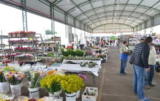 Mercado de Flores da Craisa é opção para compras no atacado e varejo