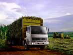 Mercedes-Benz Vende caminhões para o Ministério do Desenvolvimento Agrário