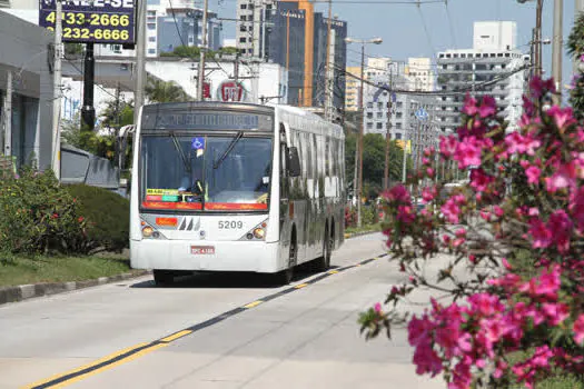 Corredor de ônibus ABD tem mais de 11 mil pés de manacás da serra