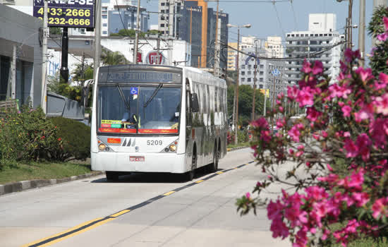 Corredor de ônibus ABD tem mais de 11 mil pés de manacás da serra