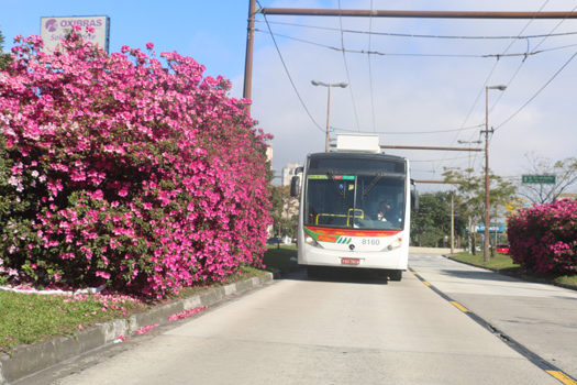 Metra contribui com a redução de emissão de CO2 no meio ambiente_x000D_
_x000D_