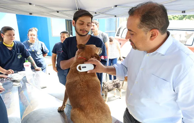 Prefeitura de Mauá promove microchipagem de cães e gatos disponíveis para adoção