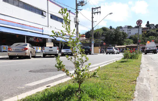 Meio Ambiente de Ribeirão Pires instala três jardins urbanos no centro