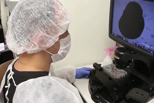 Cientistas da UFRJ criam minicérebros em laboratório