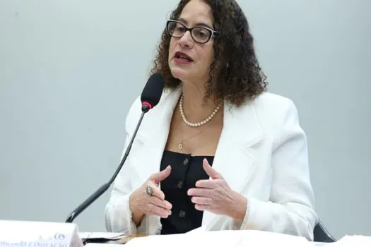 Ministra da Ciência e Tecnologia defende atualização da Lei do Bem