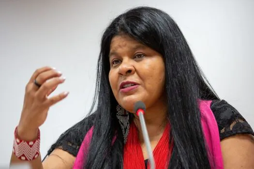 Ministra diz que ainda há garimpeiros ilegais em TI Yanomami