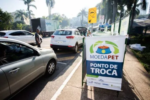 Parque Central recebe no sábado última edição do Moeda Pet deste ano