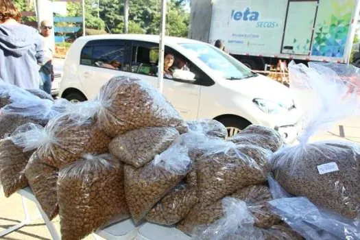 Parque Central recebe mais uma edição do Moeda Pet neste sábado