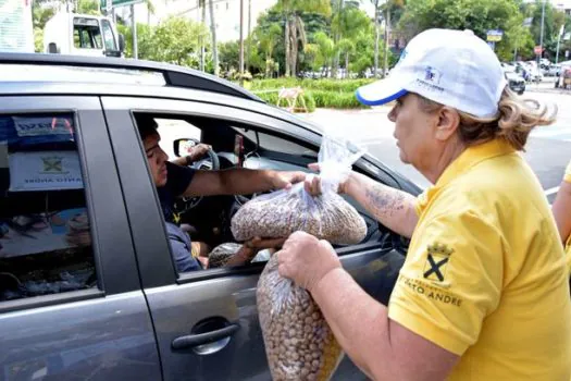 Moeda Pet acontece neste sábado no Parque Central