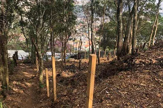 Guarda Civil Municipal de São Bernardo impede invasão em área de proteção ambiental