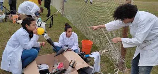 Equipe de São Paulo ganha medalha de prata na Mostra Brasileira de Foguetes