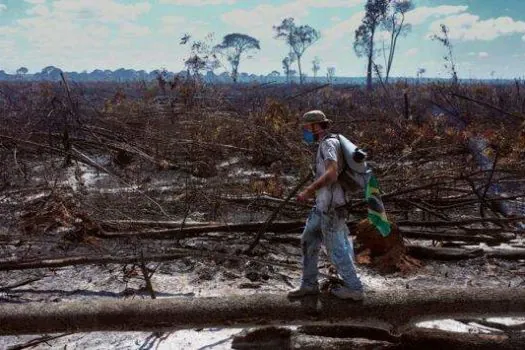 Mostra Ecofalante de Cinema acontece em Guaratinguetá