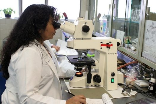 Estudo de SP ajuda a entender a dor associada a infecções virais