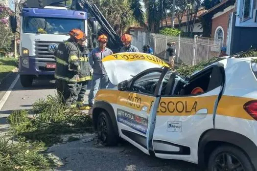 Mulher morre por causa do vento forte em São Paulo