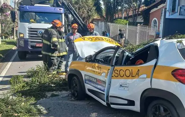 Mulher morre por causa do vento forte em São Paulo