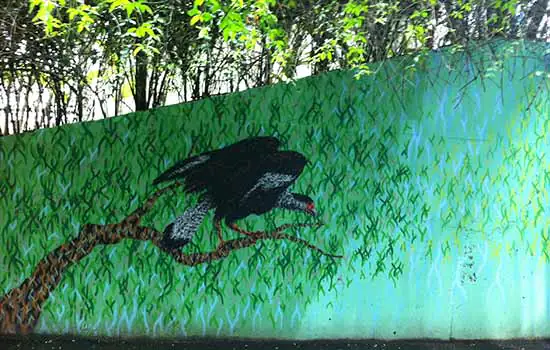 Thiago Vaz pinta mural no espaço público