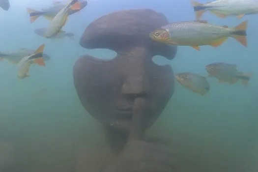 Primeiro museu de água doce do mundo é brasileiro e fica em Bonito