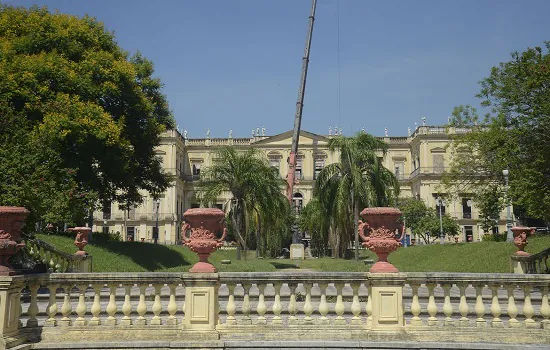 Museu Nacional recebe doação de moluscos do Museu de Coimbra