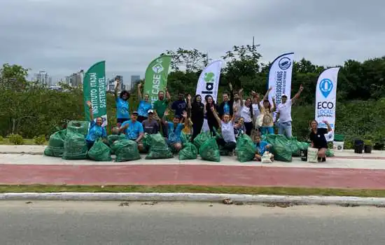 Ações de limpeza transformam resíduos não-recicláveis em acessórios para jardim