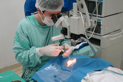 2º Mutirão Cirúrgico de Catarata em Diadema