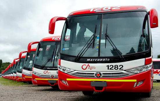 Falando de Transportes e Transportadoras – Nas minas andinas