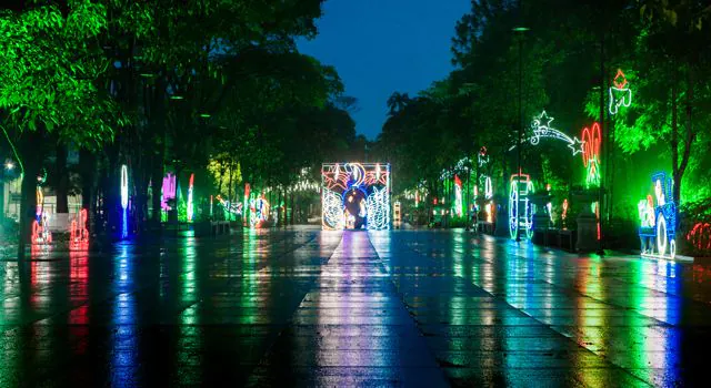 Instituto Butantan realiza Natal Iluminado pela primeira vez depois da pandemia