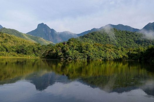 São Paulo inclui 114 novas espécies de animais em inventário de fauna