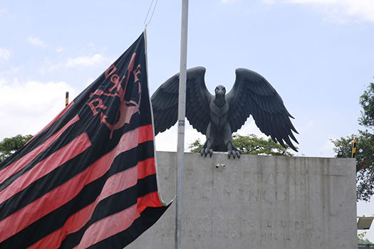 Livro homenageia adolescentes mortos em incêndio no CT do Flamengo