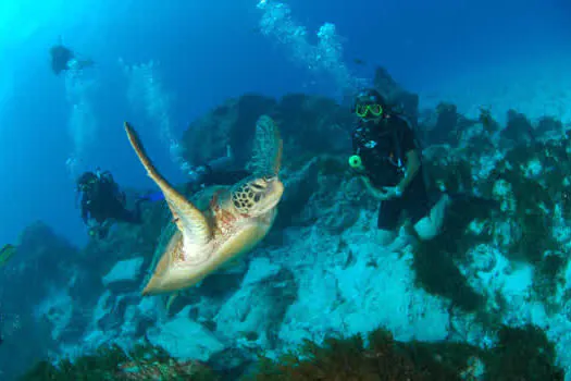 Pesquisa demonstra a importância da geoconservação no ambiente marinho