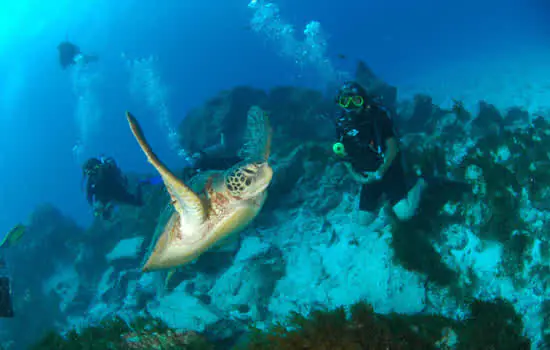 Pesquisa demonstra a importância da geoconservação no ambiente marinho