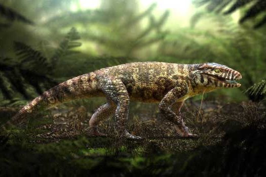 Minas descobre ‘novo’ crocodilo de 80 milhões de anos