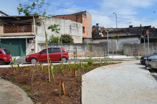 Moeda Verde transforma paisagem de mais uma rua no Núcleo Capuava