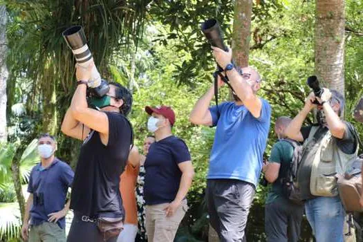 Meio Ambiente de Ribeirão Pires promove encontro para atividade de observação de aves