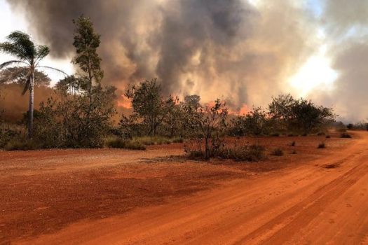 MP busca fortalecer o enfrentamento à situações emergenciais provocadas por incêndios florestais