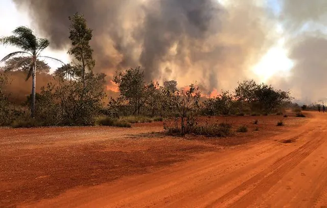 Operação Corta-Fogo registra queda de 59% na incidência de incêndios florestais no estado