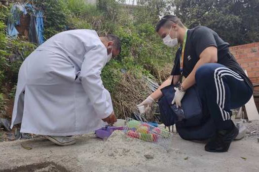 Ribeirão Pires inicia “Operação Pote Virado” contra a dengue