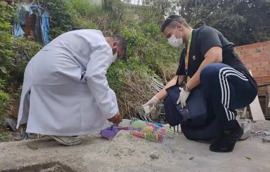 Ribeirão Pires inicia “Operação Pote Virado” contra a dengue