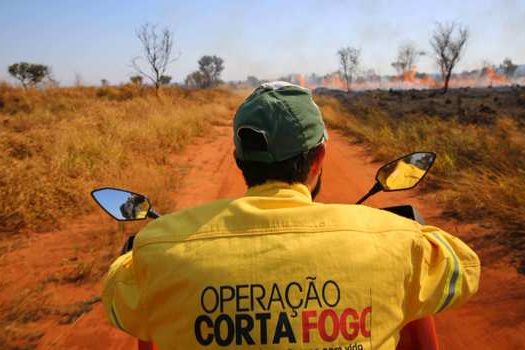 Governo registra queda na incidência de incêndios florestais nas Unidades de Conservação