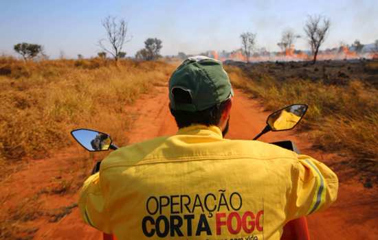 Governo registra queda na incidência de incêndios florestais nas Unidades de Conservação