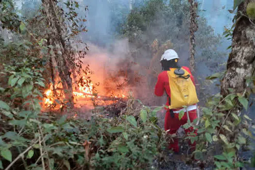 Governo promove campanha de conscientização para prevenir incêndios florestais