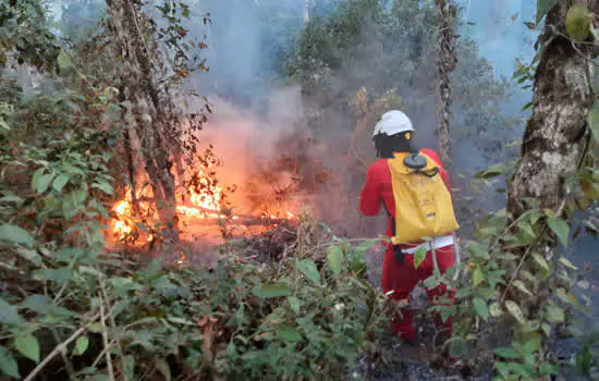 Governo promove campanha de conscientização para prevenir incêndios florestais