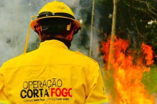 Governo de São Paulo investe mais de R$ 83 milhões para combater incêndios florestais