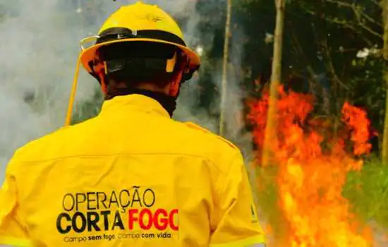 Governo de São Paulo investe mais de R$ 83 milhões para combater incêndios florestais