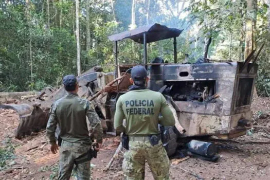 PF e Ibama fazem operação contra extração de diamantes e madeiras de terras indígenas