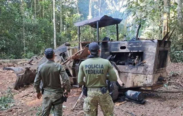 PF e Ibama fazem operação contra extração de diamantes e madeiras de terras indígenas