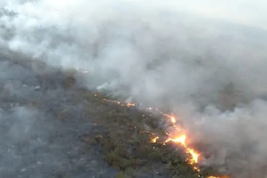 Podcast sobre Operação Corta-Fogo mostra trabalho para combater incêndios florestais